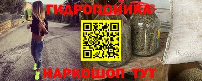 индика Братск