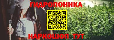 прущие крисы Боровичи