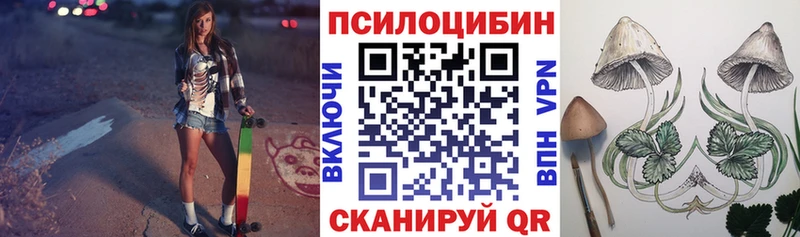 где можно купить наркотик  Заинск  Псилоцибиновые грибы прущие грибы 